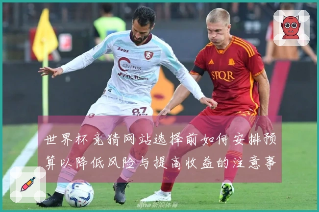 世界杯竞猜网站选择前如何安排预算以降低风险与提高收益的注意事项