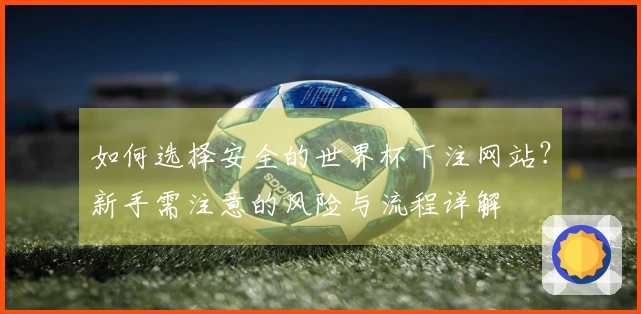 如何选择安全的世界杯下注网站？新手需注意的风险与流程详解