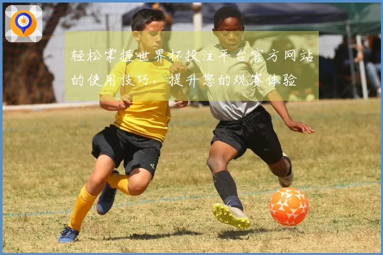 轻松掌握世界杯投注平台官方网站的使用技巧，提升您的观赛体验