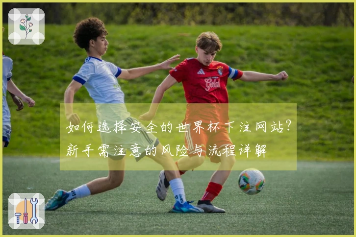 如何选择安全的世界杯下注网站？新手需注意的风险与流程详解