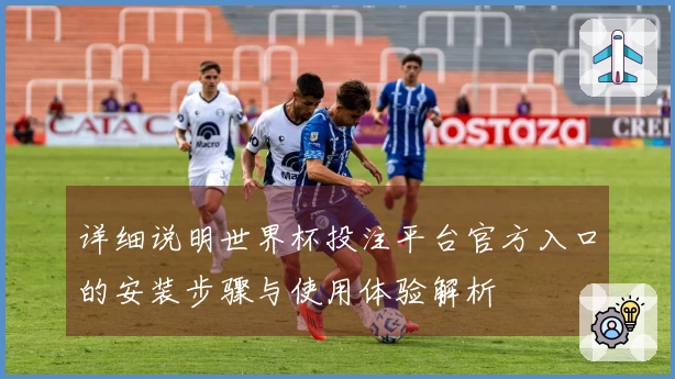 详细说明世界杯投注平台官方入口的安装步骤与使用体验解析