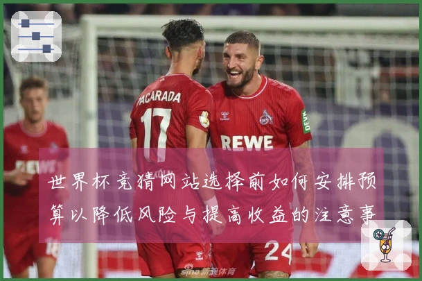 世界杯竞猜网站选择前如何安排预算以降低风险与提高收益的注意事项